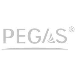 Sealing Ring Set PEGAS Steel